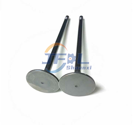 Intake Valve 612630050075 Intake Valve Assembly for Shacman X3000 X5000 SINOTRUK HOWO Foton Auman Truck